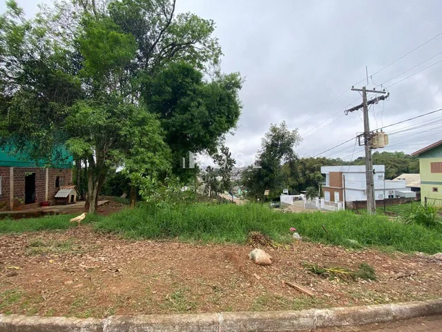 Terreno, foto 3