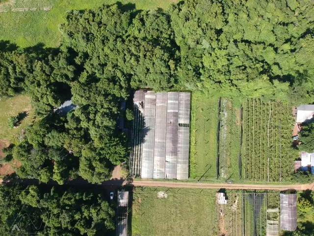 Área rural, foto 3