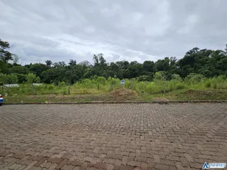 Terreno, foto 2