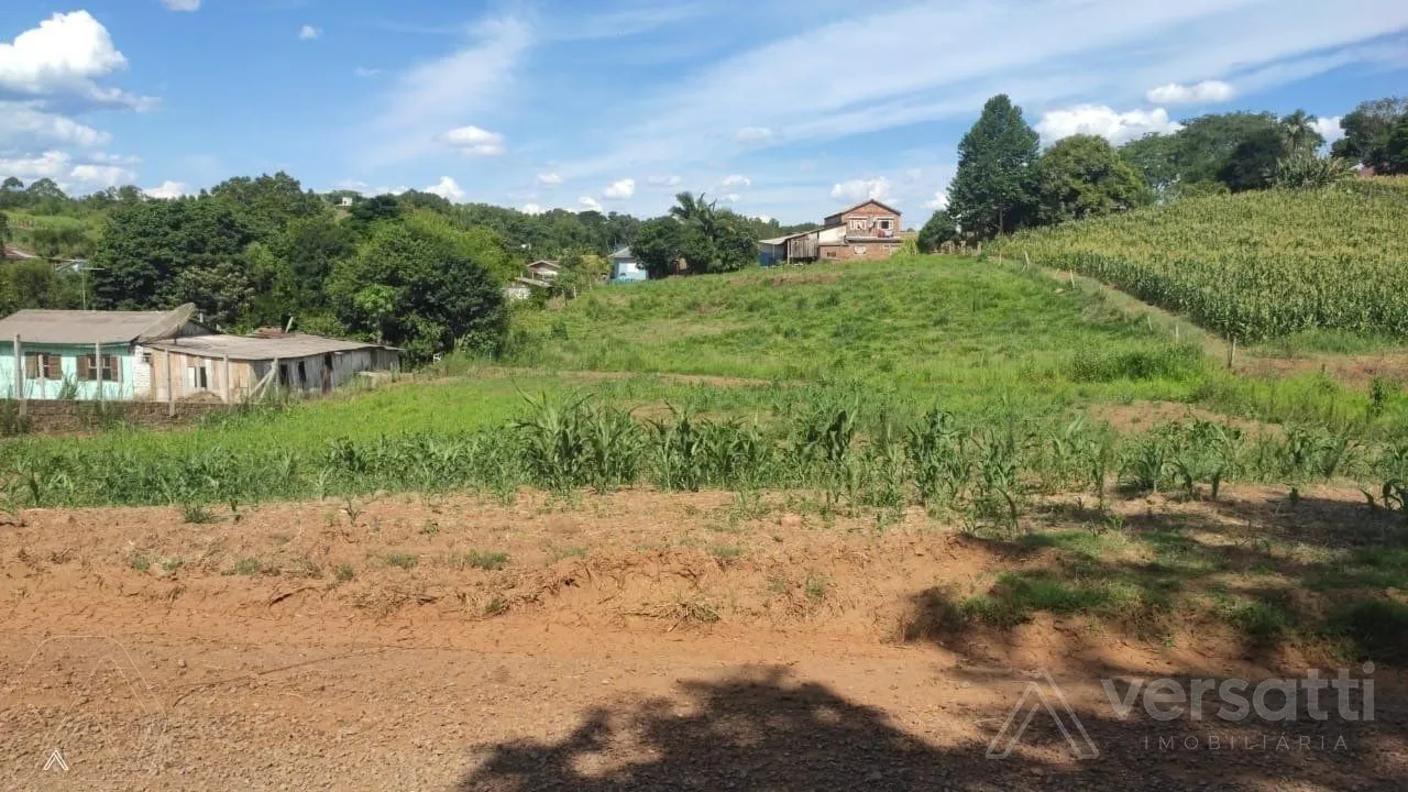 Terreno, foto 1