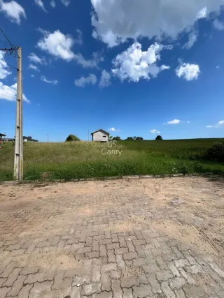 Terreno, foto 4