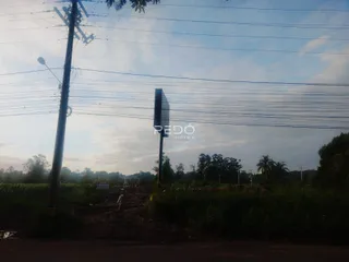 Paisagem rural com postes de luz e vegetação no campo.