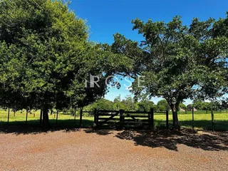 Área rural com 3 dormitórios, foto 13