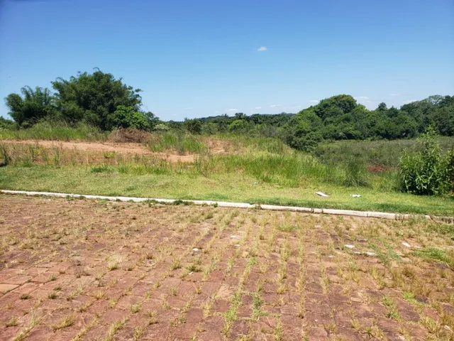 Terreno