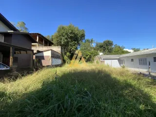 Terreno, foto 2