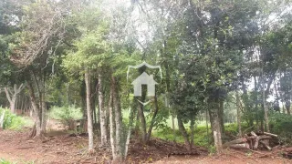 Área rural com 3 dormitórios, foto 12