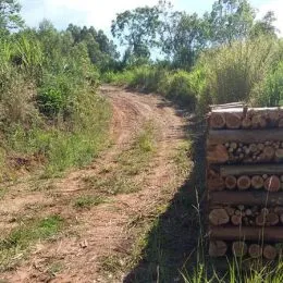 Área rural, foto 8