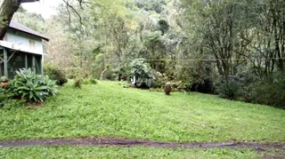 Vista externa de uma propriedade com terreno gramado e vegetação densa.
