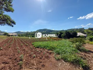 Vista de campo aberto com terra arada e vegetação verde no fundo da paisagem.