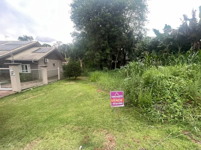 Terreno
