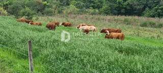 Área rural, foto 11