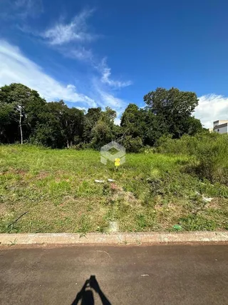 Paisagem de campo com vegetação e árvores ao fundo.