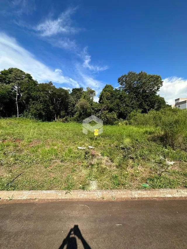 Paisagem de campo com vegetação e árvores ao fundo.