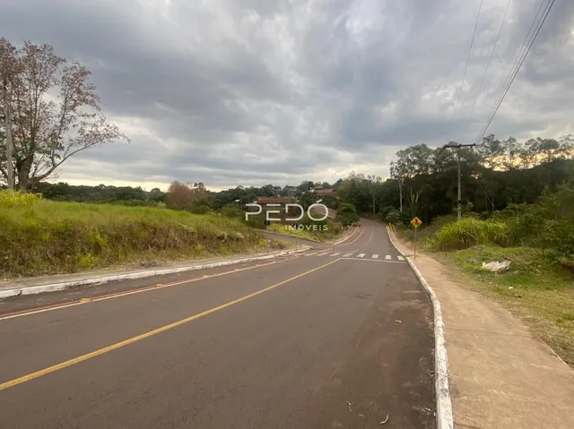 Vista da estrada e paisagem ao redor da propriedade em Lajeado.