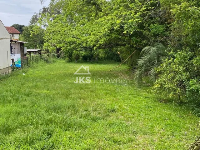 Terreno, foto 5