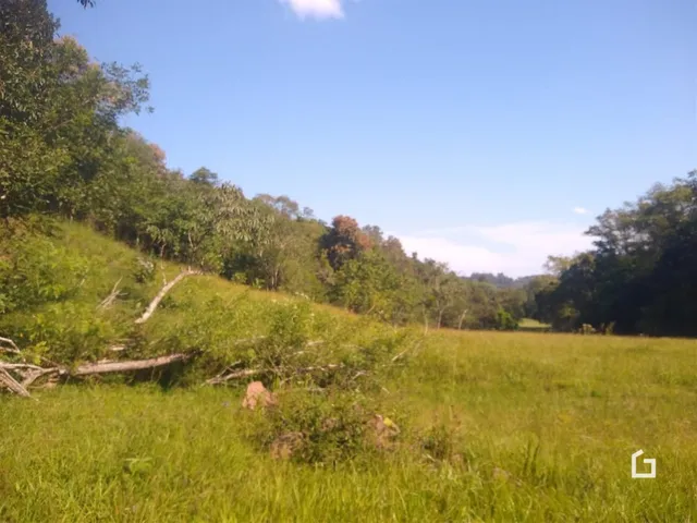 Paisagem de campo com vegetação densa e colinas verdes.