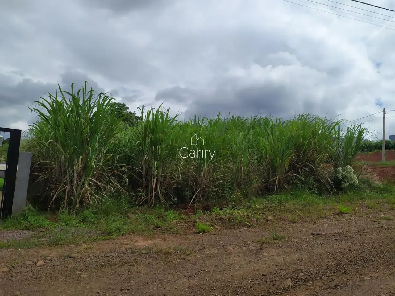 Terreno, foto 1