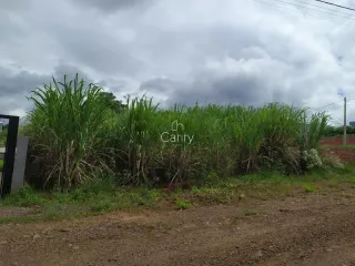 Terreno, foto 1