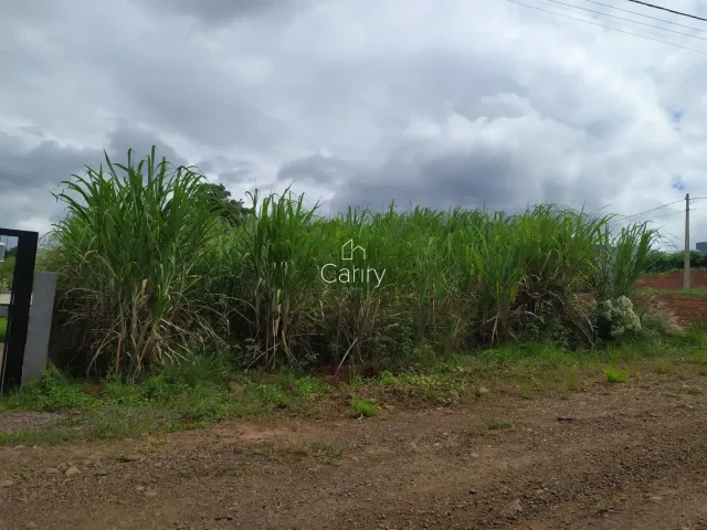 Terreno