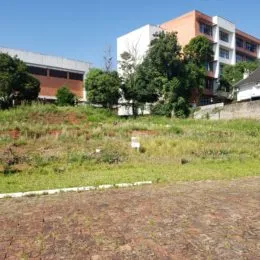 Terreno, foto 3
