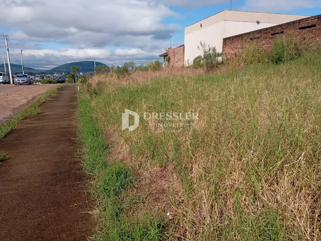 Terreno, foto 3