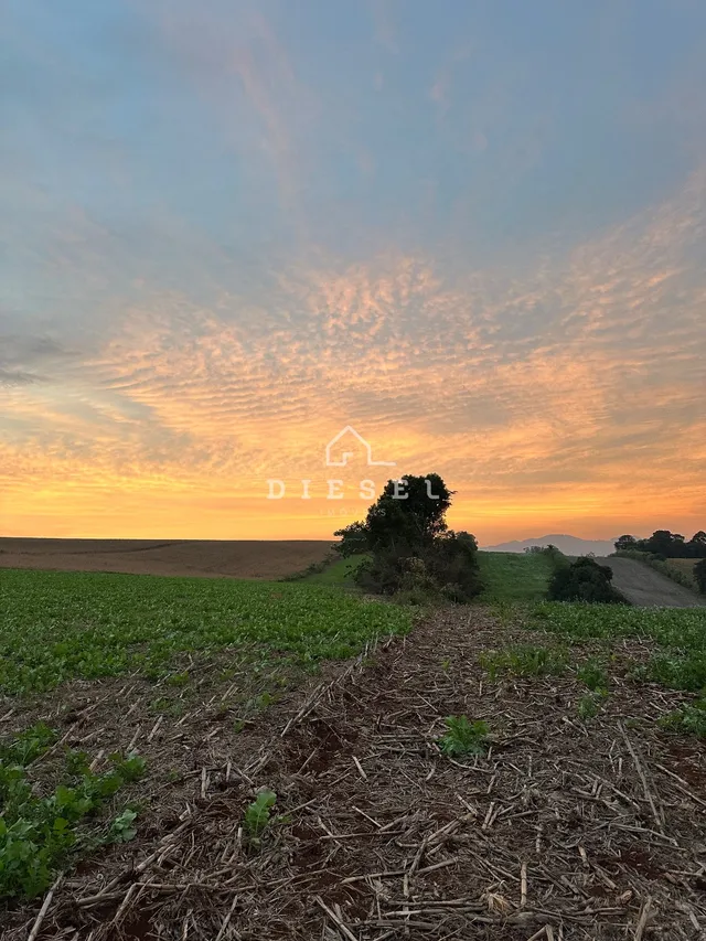 Área rural, foto 3
