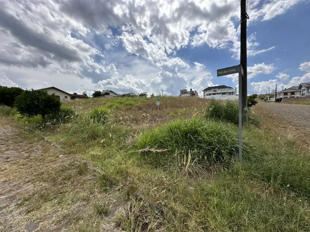 Terreno, foto 2