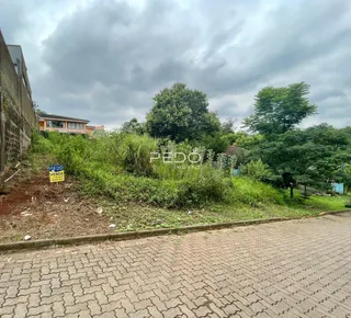 Vista externa de uma propriedade com vegetação densa e pavimento na frente.