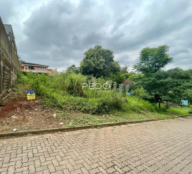 Terreno, foto 2