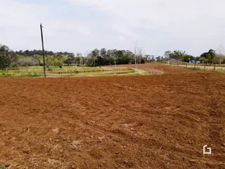 Campo aberto de terra com vegetação seca ao fundo.
