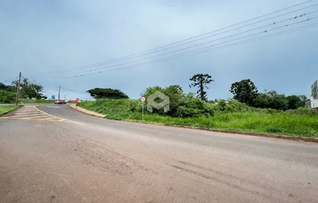 Vista de uma estrada rural com vegetação ao longo do caminho.