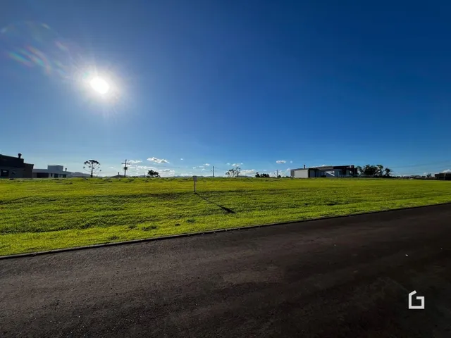 Paisagem de campo verde com uma estrada no primeiro plano.