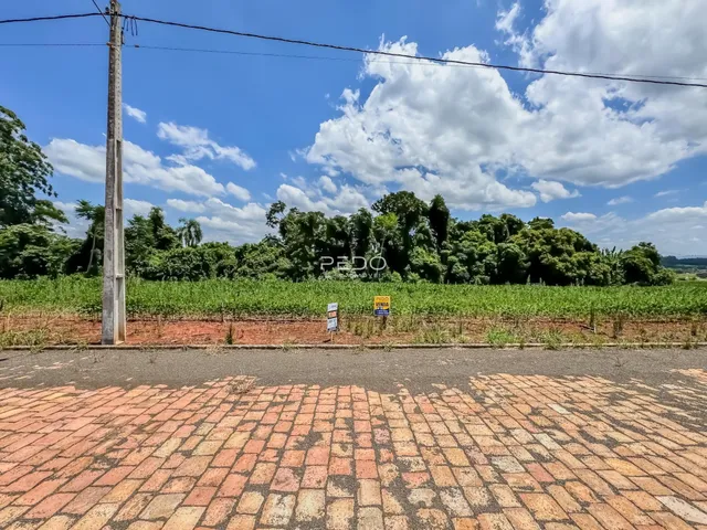 Vista da propriedade com campo e vegetação ao fundo.
