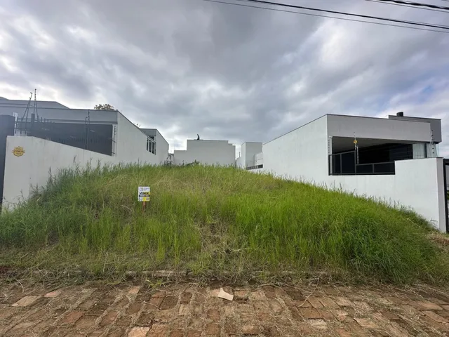 Vista de uma área gramada com vegetação alta no exterior da propriedade.