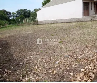 Terreno, foto 5