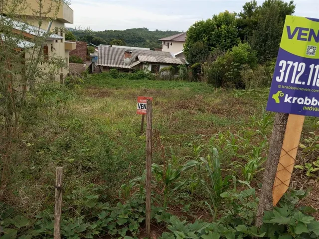 Terreno, foto 2