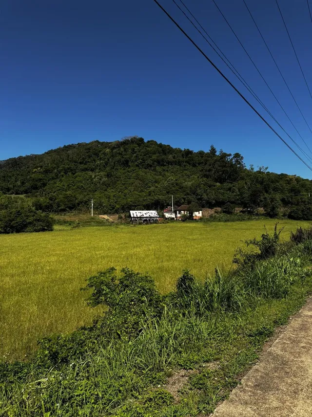 Área rural, foto 4