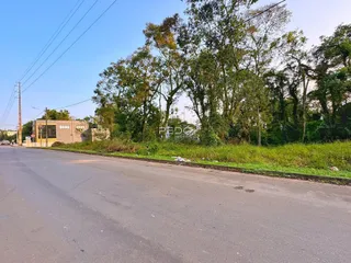 Vista da estrada e vegetação ao lado de uma propriedade em Lajeado, Brasil.