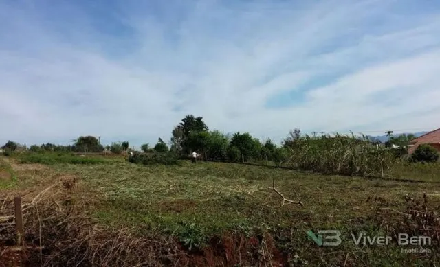Terreno, foto 2
