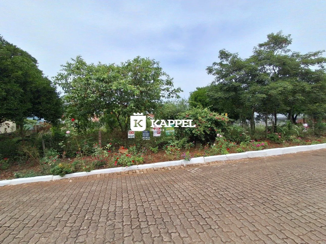 Vista externa da propriedade mostrando vegetação e área pavimentada.