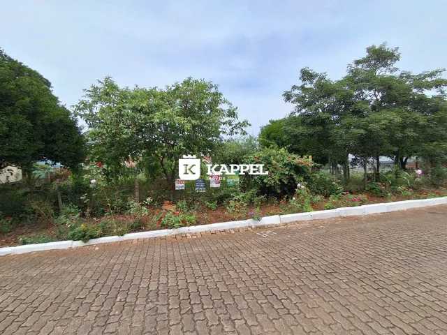 Vista externa da propriedade mostrando vegetação e área pavimentada.