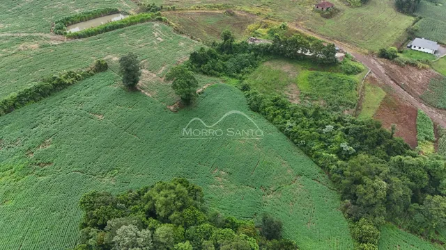 Vista aérea de uma área rural com plantações verdes e vegetação densa.