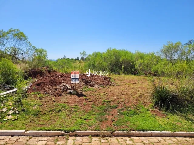 Vista de terreno com vegetação e terra no exterior.
