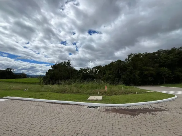 Terreno, foto 4