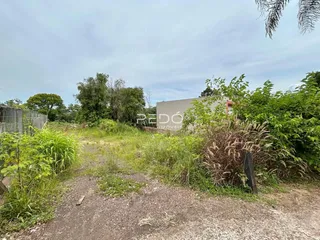 Vista externa de uma propriedade com vegetação densa ao redor.