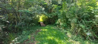 Área rural com 1 dormitório, foto 6
