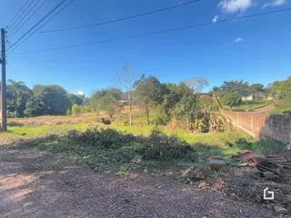 Vista da propriedade com vegetação e muro de tijolos.