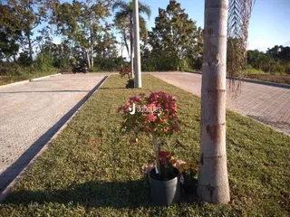 Vista externa da propriedade com gramado e pavimento.