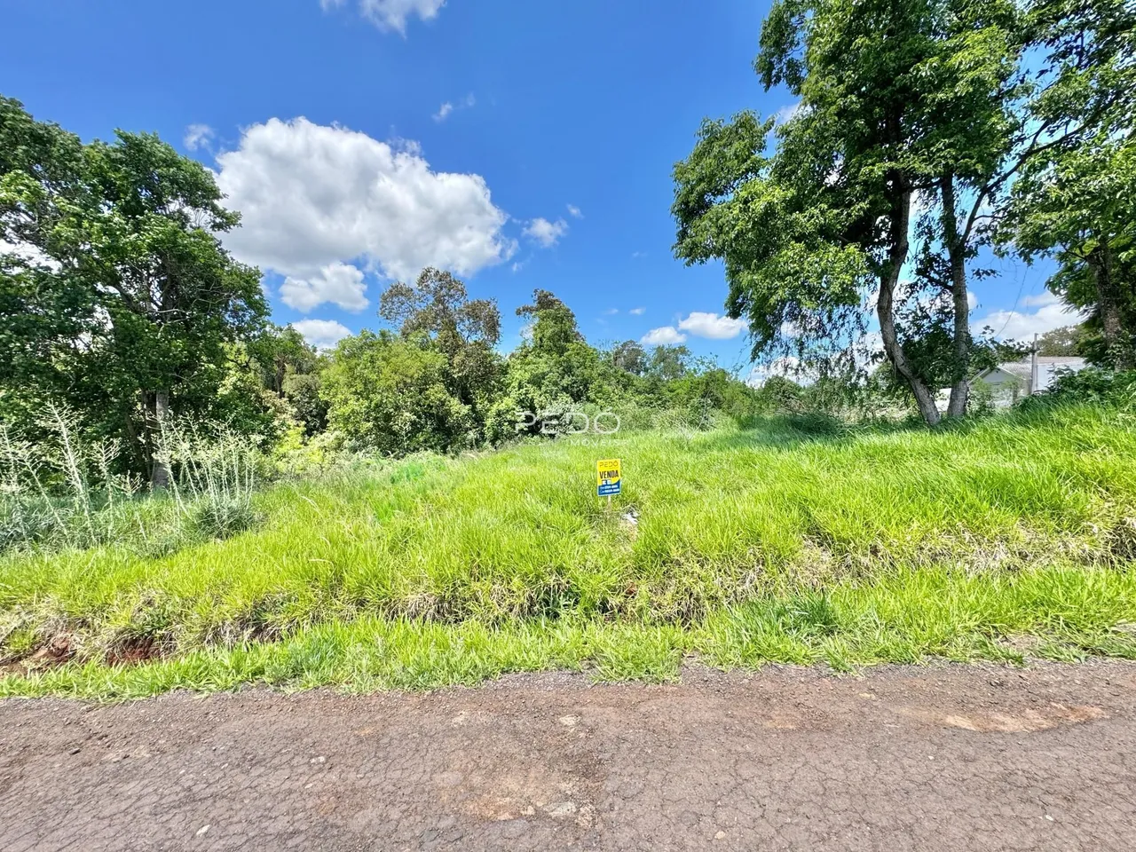 Vista de uma área gramada com vegetação e árvores ao fundo.