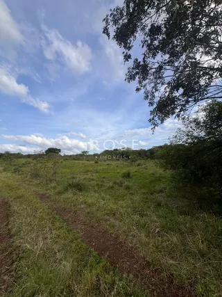 Paisagem de campo com vegetação alta e caminho de terra.
